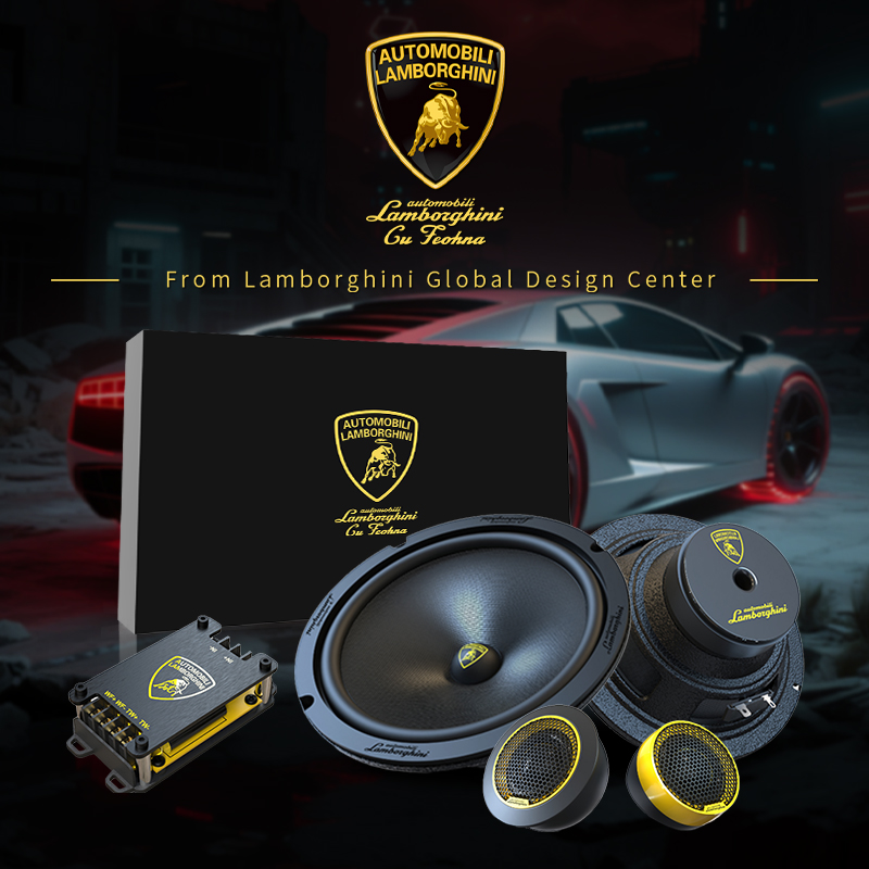 Lamborghini Door Speaker Grille Close-Up-XQJ.jpg